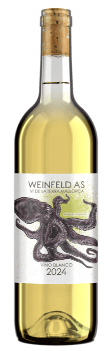 Weinfeld AS Blanco